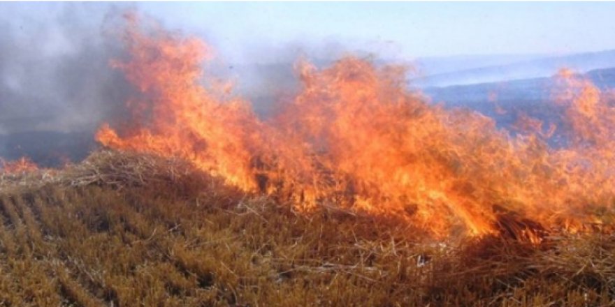 Akdoğan Bölgesinde Yangın