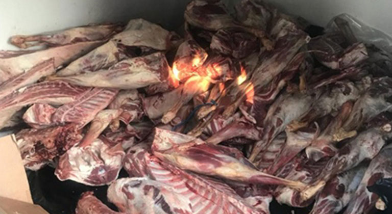 500 kiloluk kaçak kuzu eti ele geçirildi