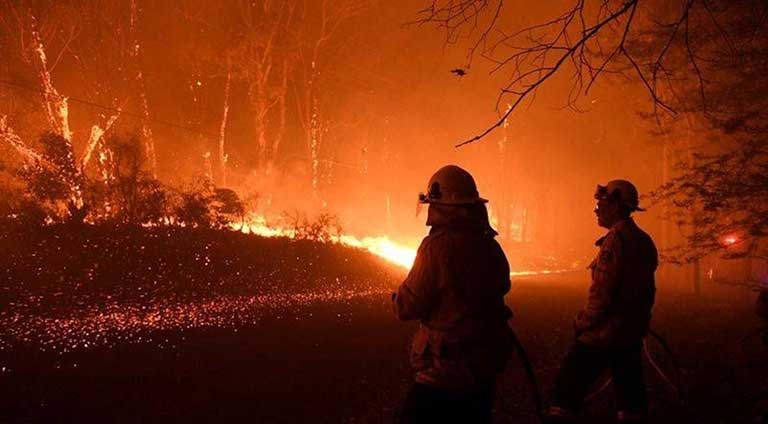 Yangınlar Avustralya’daki ormanların yüzde 21’ini yok etti