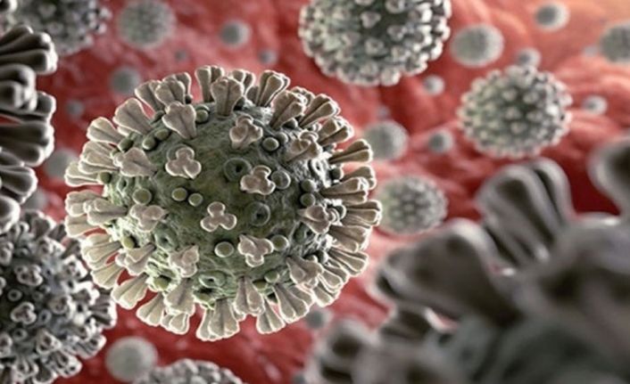 Mutasyonlu Corona virüs İle İlgili İngiltere’de Bir Araştırma Yayınlandı