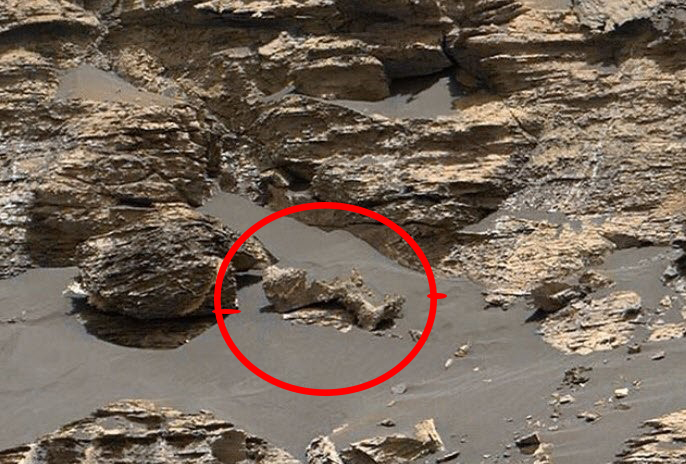 NASA’nın çektiği fotoğraf, Mars’ta hayat olduğunu kanıtladı
