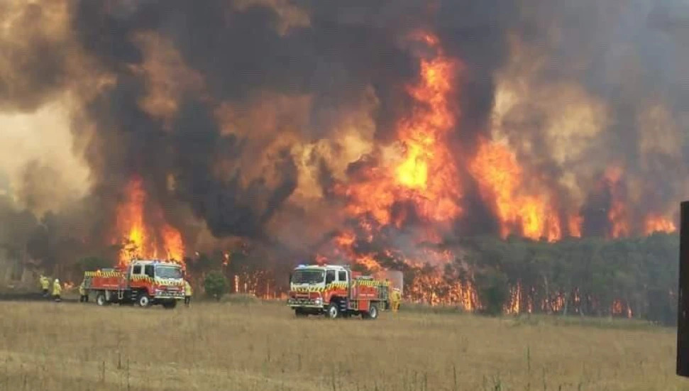 Batı Avustralya’daki Orman Yangınları Hala Kontrol Altına Alınamadı