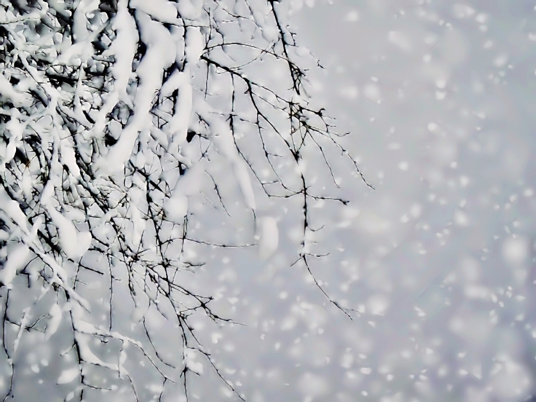 Meteoroloji Dairesi, Dağlık Kesimlerde Karla Karışık Yağmur Ve Kar Bekleniyor