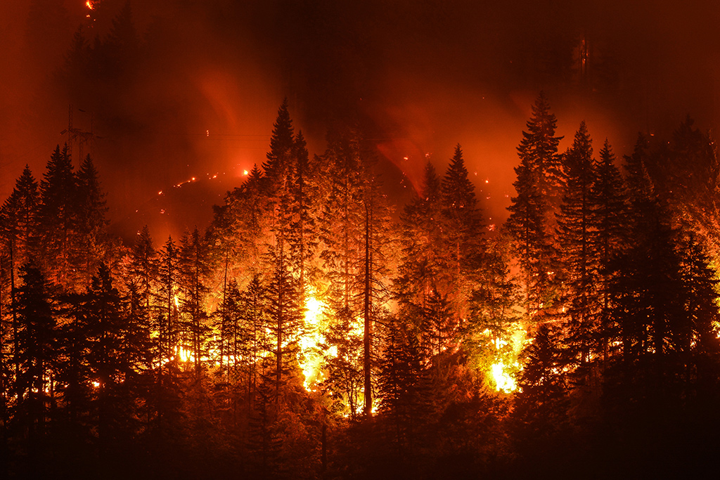 Orman Dairesi Bünyesinde 125 Kişilik Yangın Hazır Kuvvet Ekibi Kuruluyor