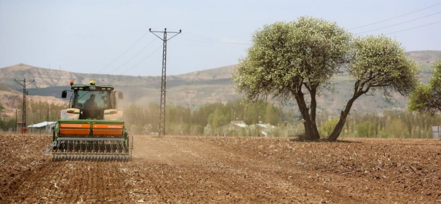 Sivas’ta 170 dekar alanda kenevir ekimi yapıldı
