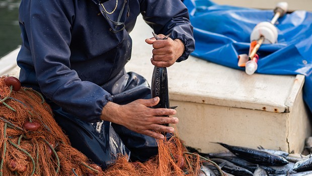 Mağusa’da balıkçılıkla ilgili bilgilendirme toplantısı düzenleniyor