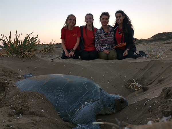 Kıbrıs sahillerindeki kaplumbağaları korumak için 29 yıldır çalışıyorlar