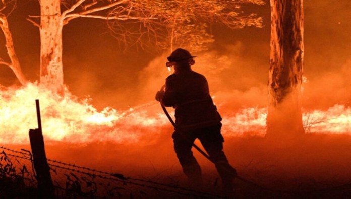 Ortalama hava sıcaklıklarının hızla artması orman yangın riskini de artırıyor