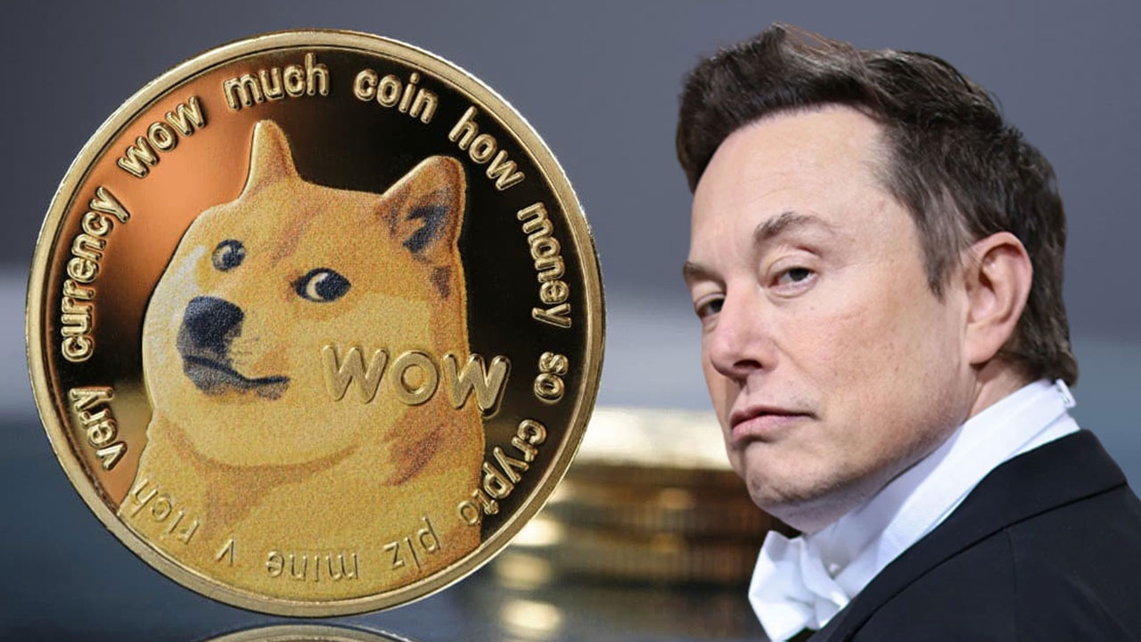 Elon Musk’a Dogecoin üzerinden saadet zinciri davası açıldı!