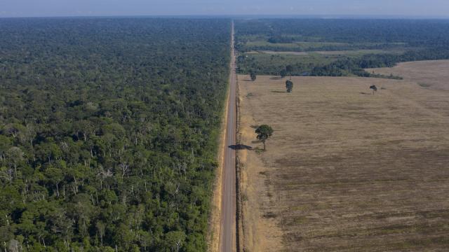 Brezilya ve Kolombiya devlet başkanları Amazon’un korunmasını ele aldı