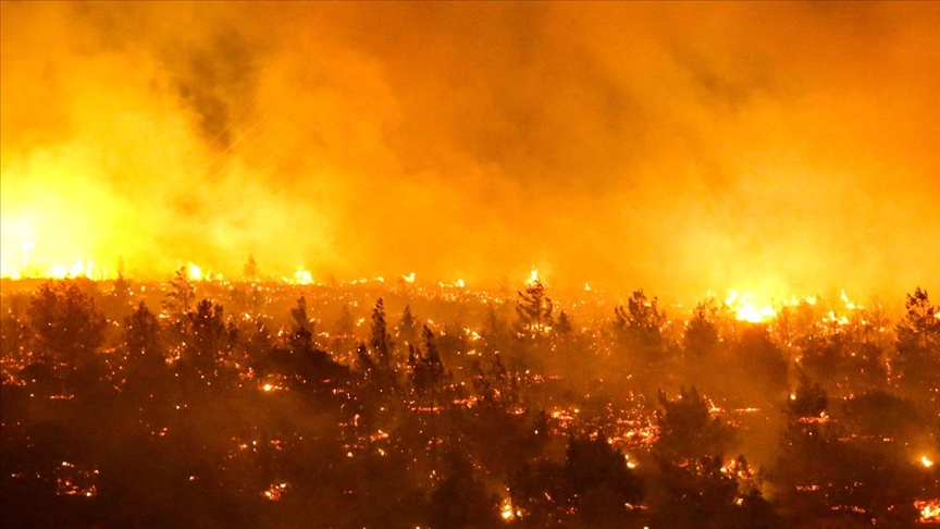 Şili’de orman yangınlarında ölenlerin sayısı 13’e yükseldi
