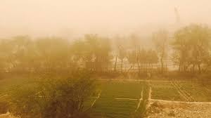 İran’da toz fırtınası nedeniyle 300’den fazla kişi hastanelik oldu