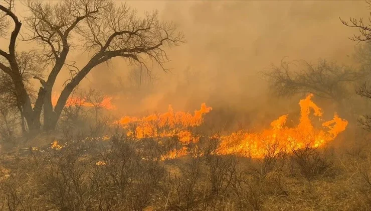 Meksika’da 15 eyalette 58 orman yangını çıktı