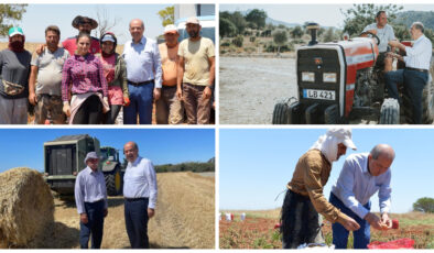 Cumhurbaşkanı Tatar,Kıbrıs Türk Çiftçiler Birliği’nin 81.Kuruluş Yıl Dönümü nedeniyle mesaj yayımladı
