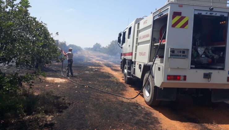 Sivil Savunma ekipleri  İskele Sınırüstü bölgesinde çıkan yangına müdahalede bulundu