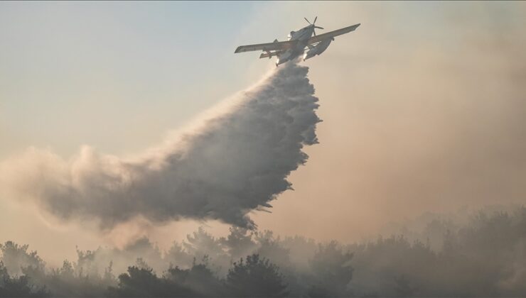 Türkiye’de rekor sıcaklıkların yaşandığı haziranda orman yangınları geçen yıla göre yaklaşık 5 kat arttı