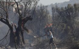 Yunanistan’daki orman yangınlarında bir kişi öldü