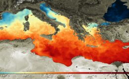 Akdeniz’de deniz suyu sıcaklığının 31 dereceyle rekor seviyeye ulaşması bekleniyor