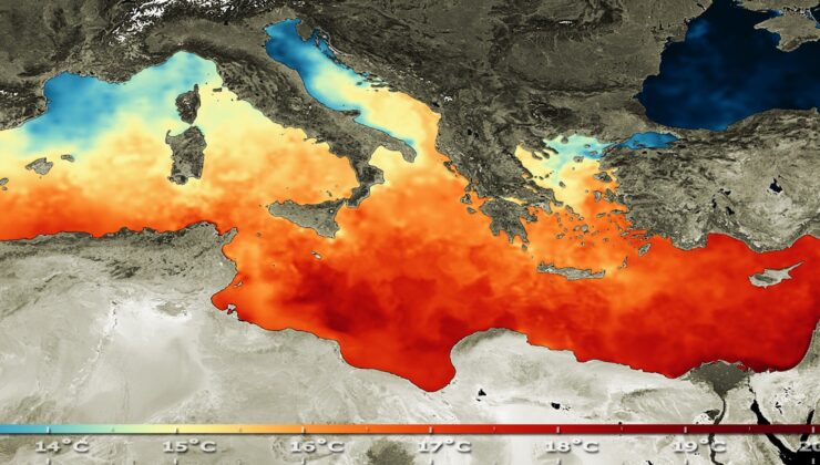 Akdeniz’de deniz suyu sıcaklığının 31 dereceyle rekor seviyeye ulaşması bekleniyor