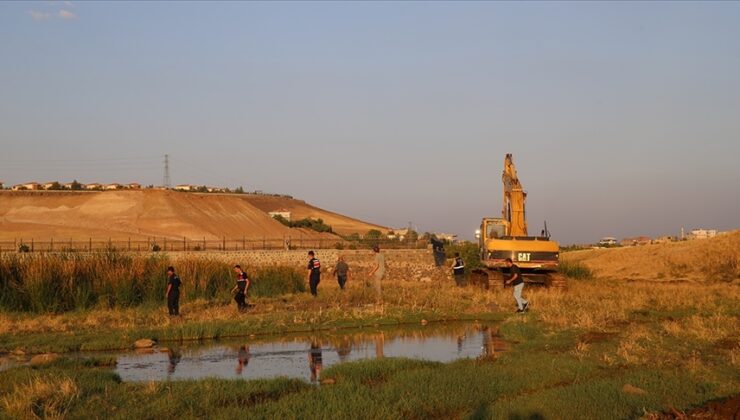 Narin’i arama çalışmalarının “asılsız ihbarlar ve yanlış ifadelerle sekteye uğratıldığı” mahkeme kararında