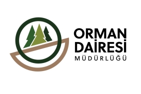 1764847061397orman-dairesi-mudurlugu-1.jpg