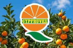 cypfruvex-1.jpg