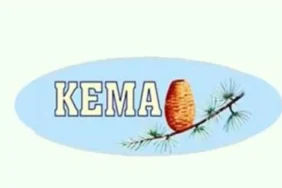 kema.webp.webp