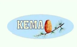kema.webp.webp